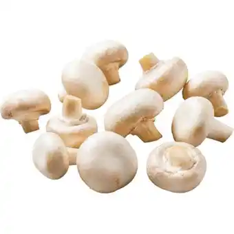 PENNY Champignons weiss penny 400 gramm 1 packung Angebot