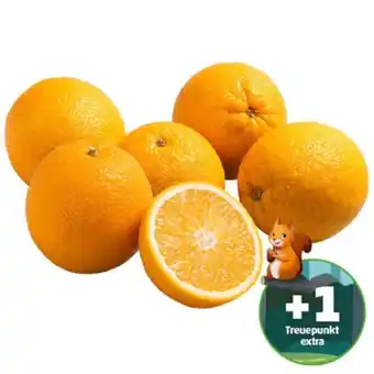 PENNY Saftig-süsse orangen penny 1 kilogramm 1 netz Angebot