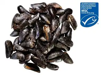 Lidl Fischerstolz msc miesmuscheln lidl 1 kilogramm Angebot
