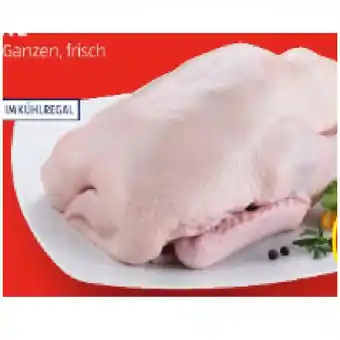 Hofer Ente hofer 1 kilogramm Angebot