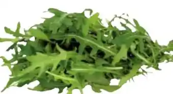 Transgourmet Bio rucola Angebot