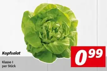 Nah&Frisch Kopfsalat Angebot