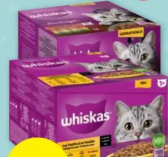 PENNY Katzenfutter frischebeutel Angebot