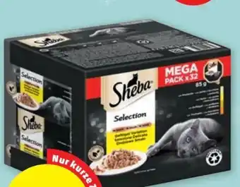 PENNY Selection Angebot