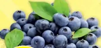PENNY Heidelbeeren Angebot