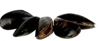 Transgourmet Miesmuscheln Angebot