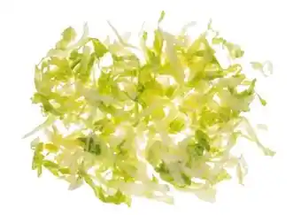 Transgourmet Eisbergsalat Angebot