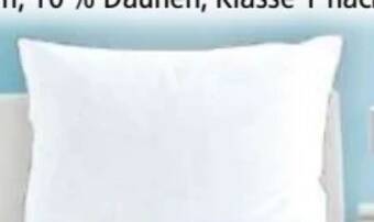 Norma Kopfkissen Angebot