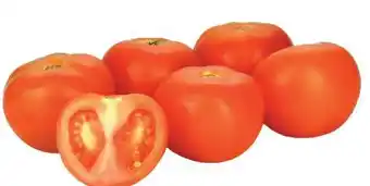 Transgourmet Tomaten Angebot