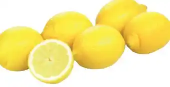 Transgourmet Zitronen Angebot