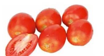 Transgourmet Rispentomaten Angebot