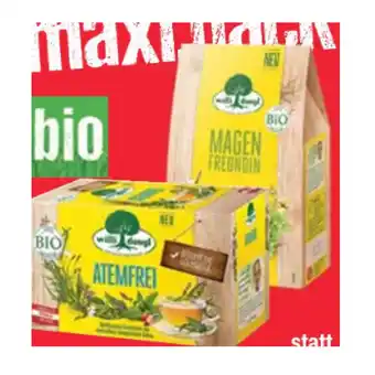 Maximarkt Willi dungl bio-tee versch. sorten maximarkt 1 packung Angebot