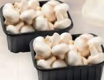 Billa Champignons Angebot