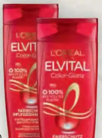 Billa Elvital shampoo Angebot