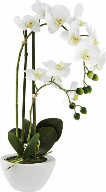Mömax Kunstpflanze Orchidee Angebot