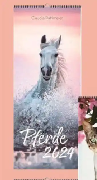 Korsch Photoart Kalender 2024
