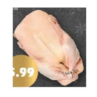 PENNY Ungarische ente bratfertig penny 1 kilogramm Angebot