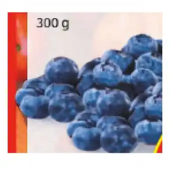 Hofer Hofer marktplatz heidelbeeren hofer 300 gramm 1 packung Angebot