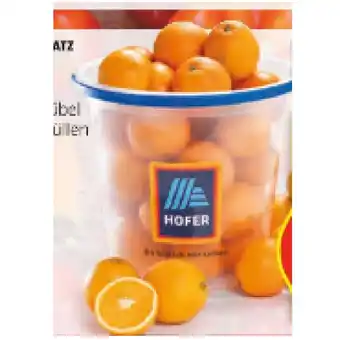 Hofer Hofer marktplatz orangen im kübel hofer 6 kilogramm 1 packung Angebot