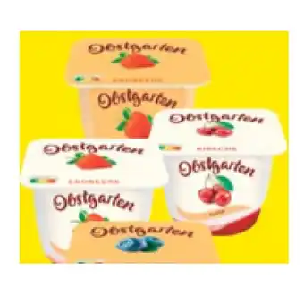 Maximarkt Danone obstgarten versch. sorten maximarkt 175 gramm 1 stück Angebot