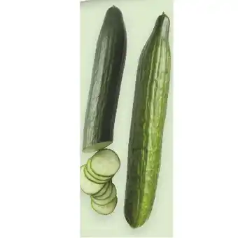 T&G Gurken t&g 1 stück Angebot
