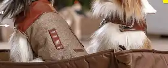 Hofer ROMEO HUNDEJACKE Angebot