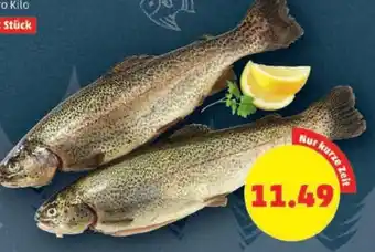 PENNY FORELLE Angebot