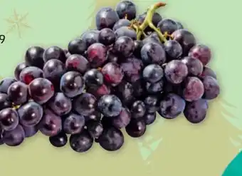 PENNY TRAUBEN ROT KERNLOS Angebot