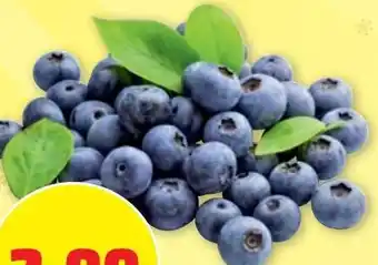 PENNY HEIDELBEEREN Angebot