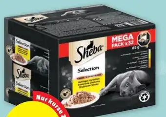 PENNY SHEBA SELECTION FRISCHEBEUTEL Angebot