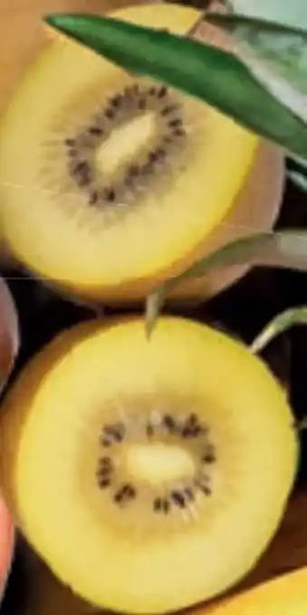 Lidl Kiwi gold Angebot