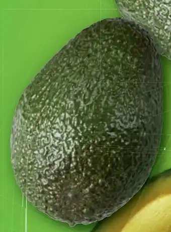 Lidl Avocados Angebot