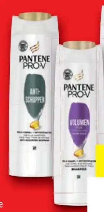 Lidl Shampoo Angebot