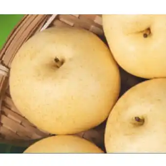 Lidl Nashi birnen lidl 1 stück Angebot