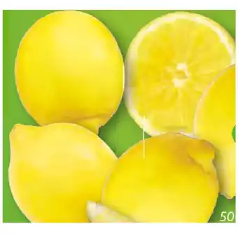 Lidl Bio zitronen lidl 500 gramm Angebot