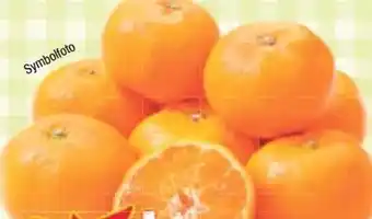 Maximarkt Clementinen Angebot