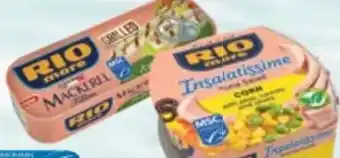 Maximarkt Thunfisch Angebot