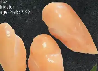 PENNY Hendlfilet Angebot