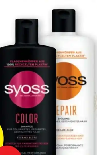 PENNY Shampoo Angebot