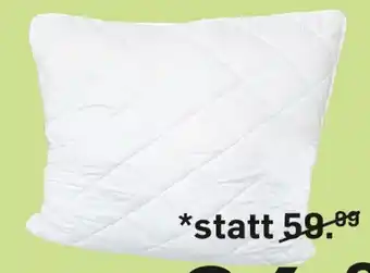 Möbel Ludwig KISSEN Angebot