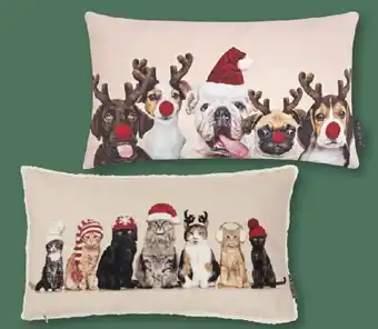 Möbel Ludwig KISSEN Angebot