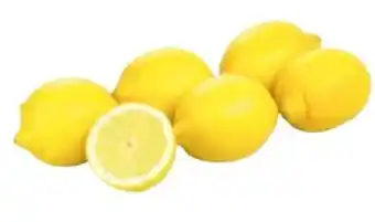 Transgourmet Bio zitronen Angebot