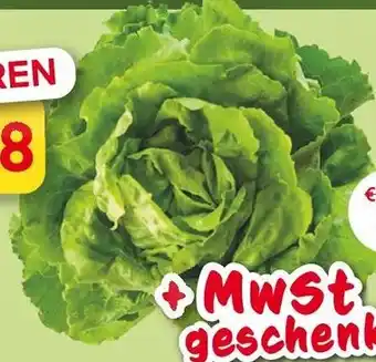 MPreis Kopfsalat Angebot