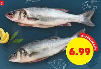 PENNY WOLFSBARSCH Angebot