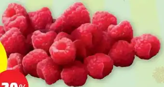 PENNY HIMBEEREN Angebot