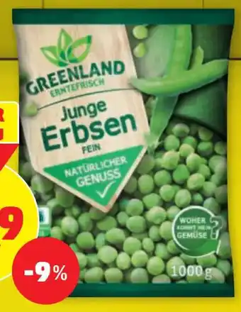 PENNY JUNGE ERBSEN Angebot