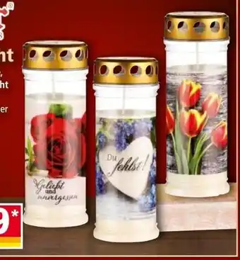 Norma Grablicht Angebot