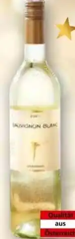 Norma Weinkellerei Fuchs Sauvignon Blanc Angebot
