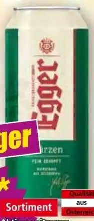Norma Märzen Premium Bier Angebot