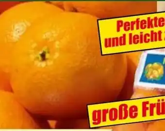 Norma Orangen Angebot